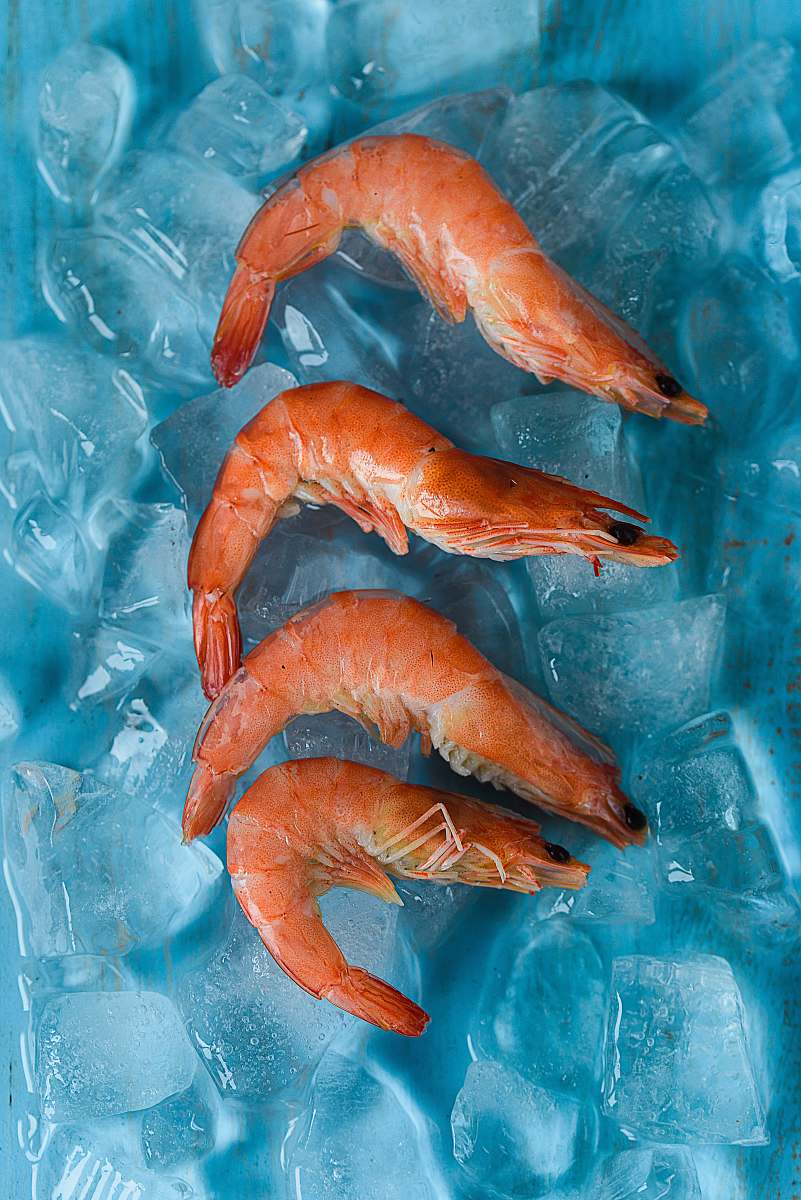 shrimp four shrimps on top of ice seafood