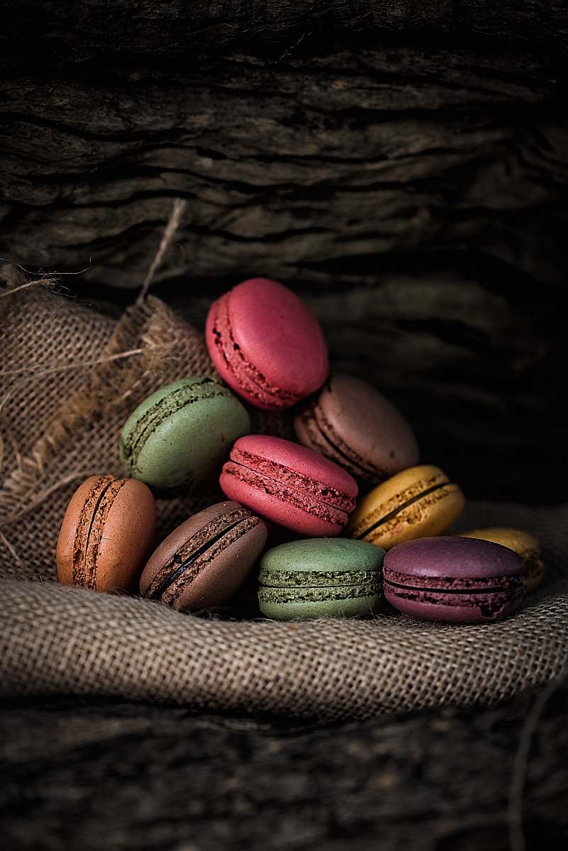 egg French macaroons on gray textile reptile