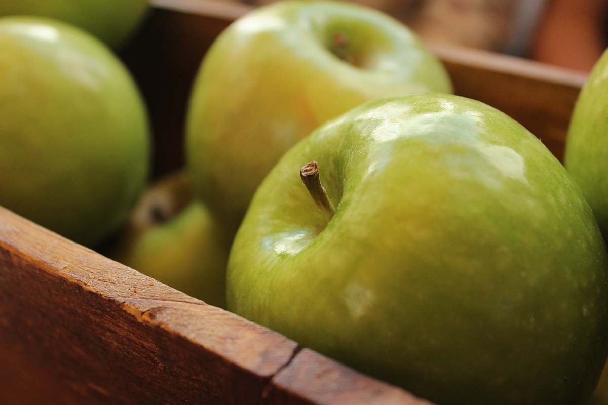 fruit grannysmith apples apple