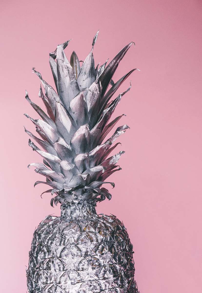 fruit gray pineapple ornament pineapple