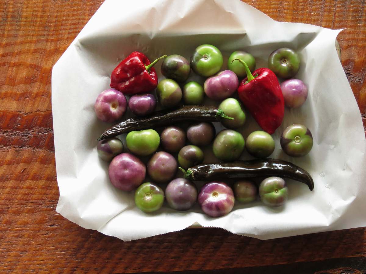 fruit green and purple tomatoes and red bell peppers in white paper peppers