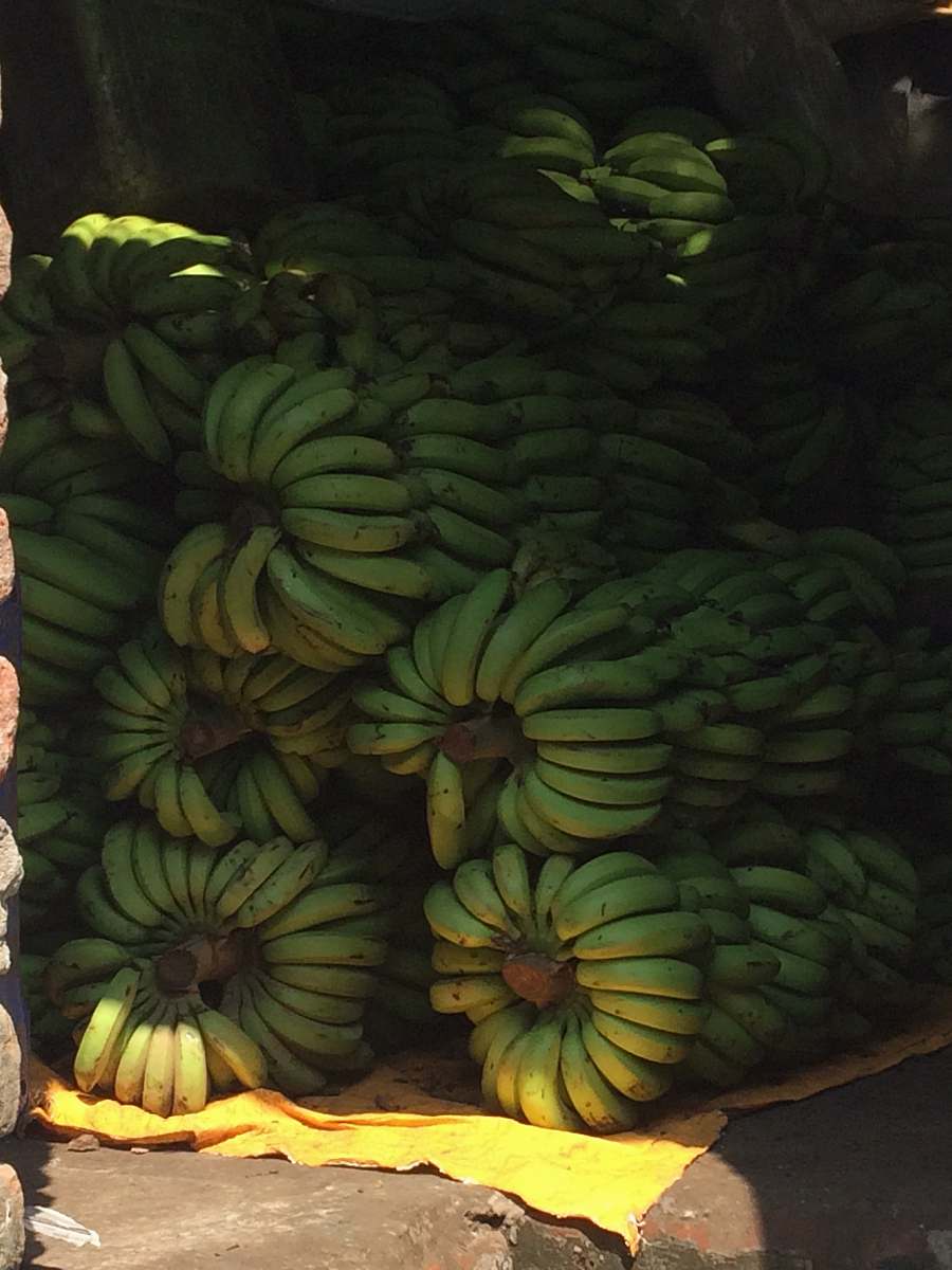 fruit green bananas banana