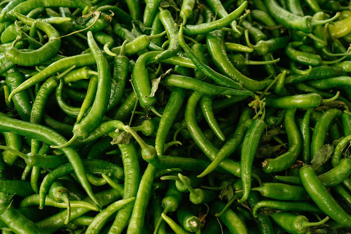 vegetable green chili turkey