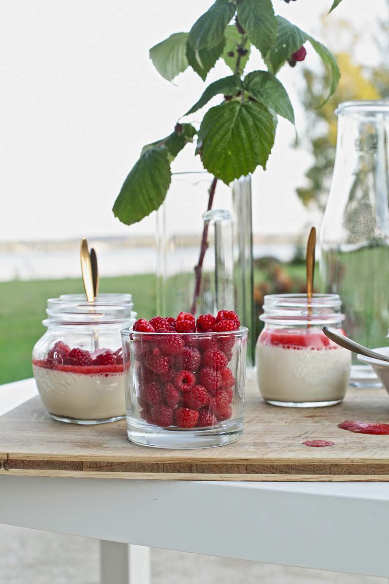 plant green-leafed plant in jar raspberry