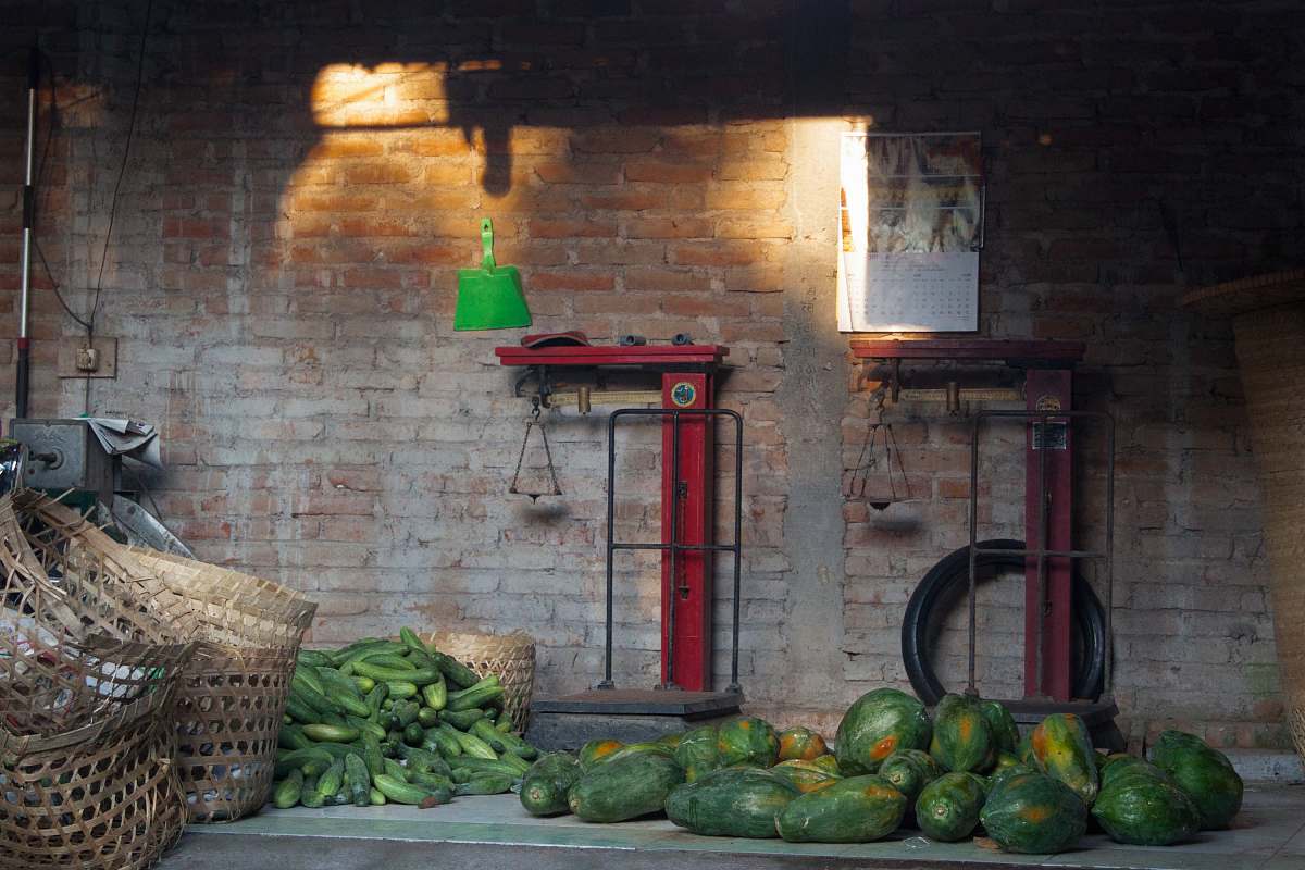 fruit green papaya fruits beside cucumbers flora