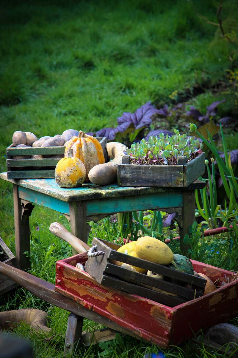 fruit green wooden table melon