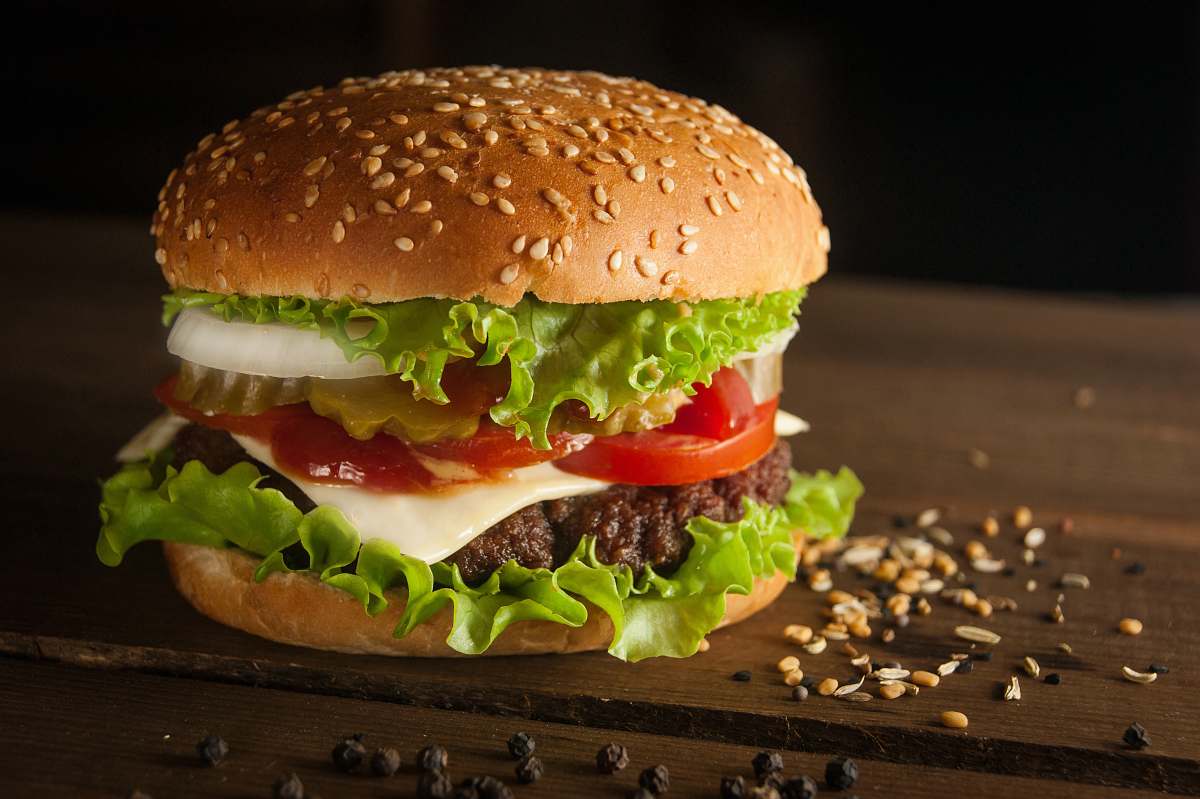 burger meat and cheese burger surrounded by sesame seeds animal