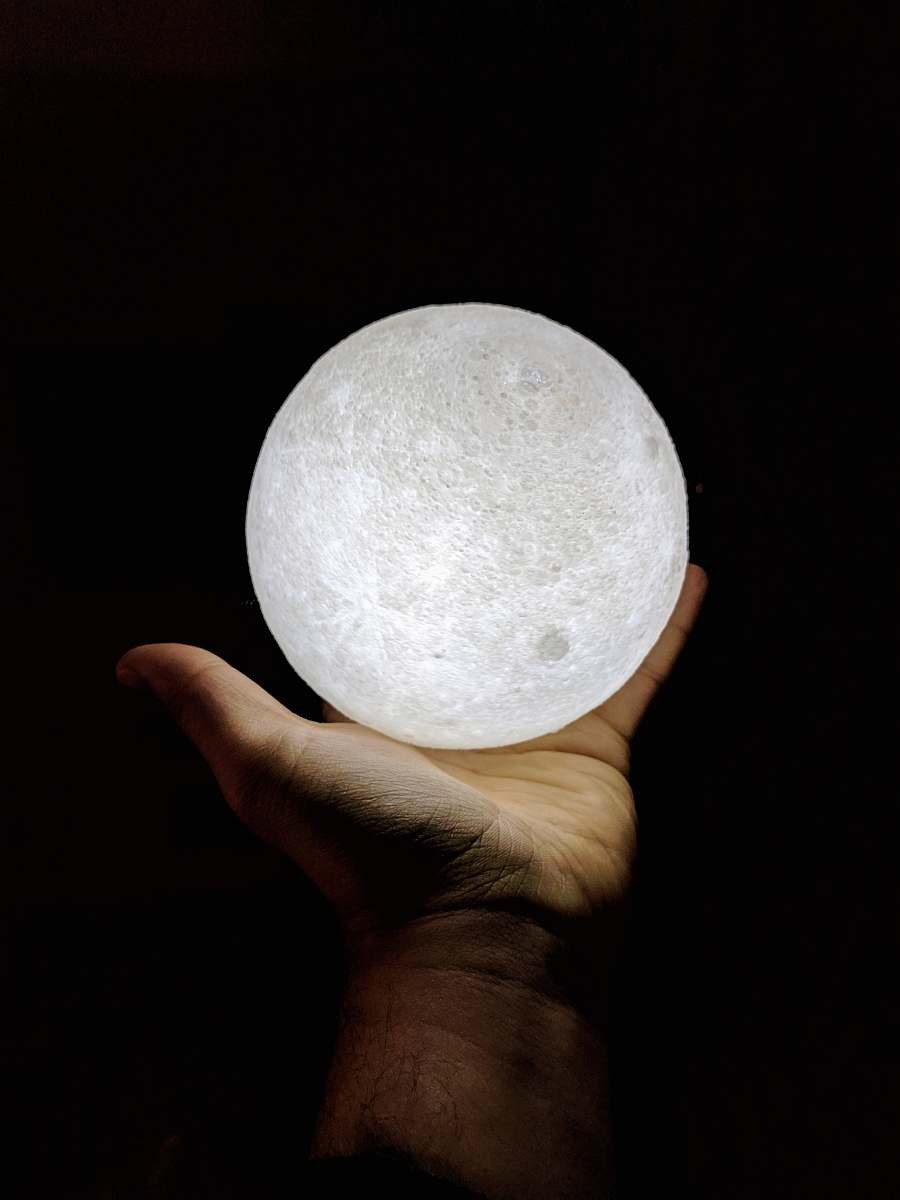 egg Moon nature
