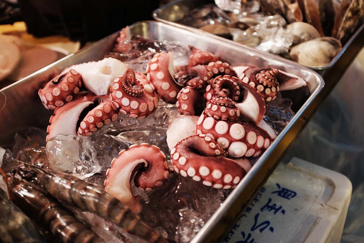 japan octopus on gray tray seafood