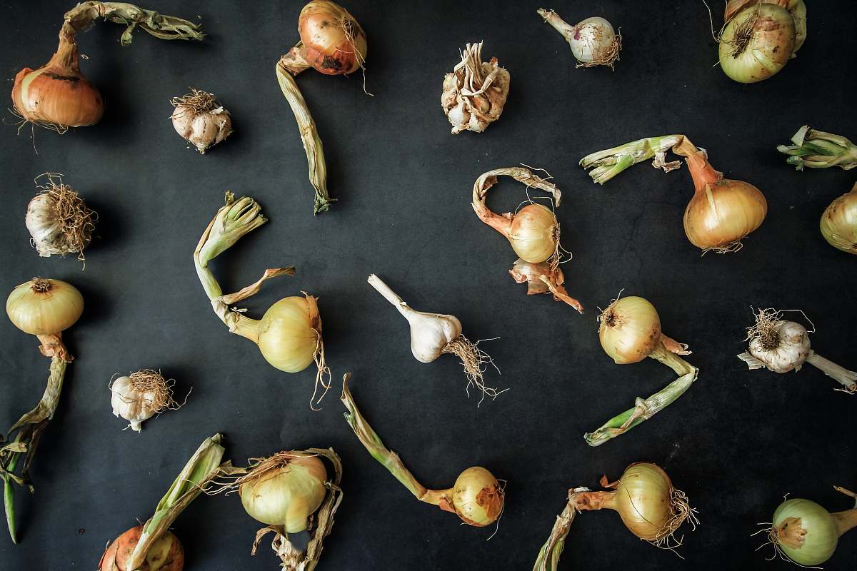 plant onion decor produce