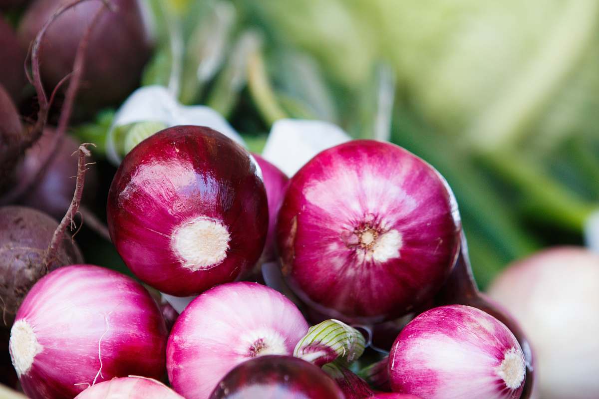 vegetable onion lot torvehallerne