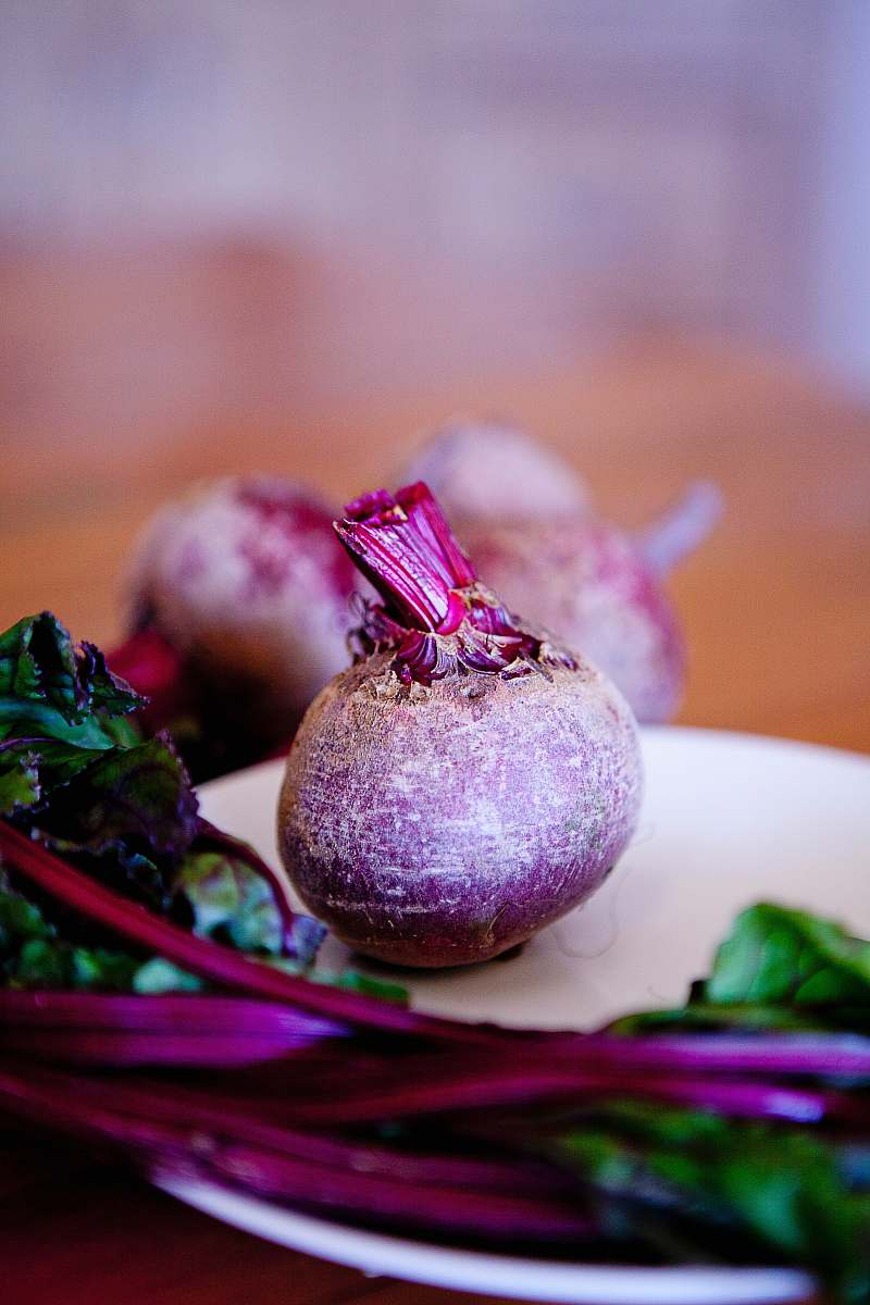vegetable onion on white plate potted plant