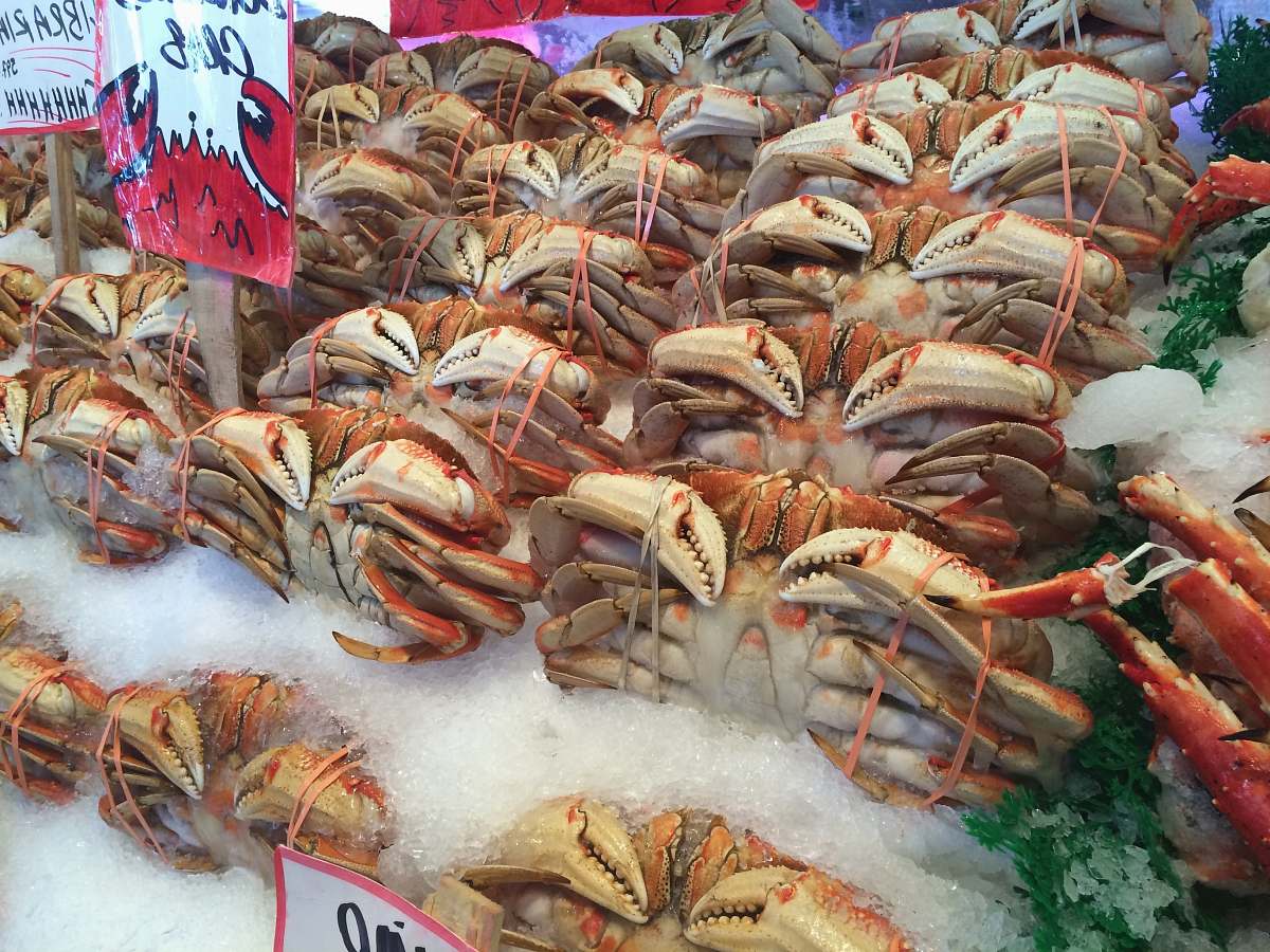 seafood orange crabs crab