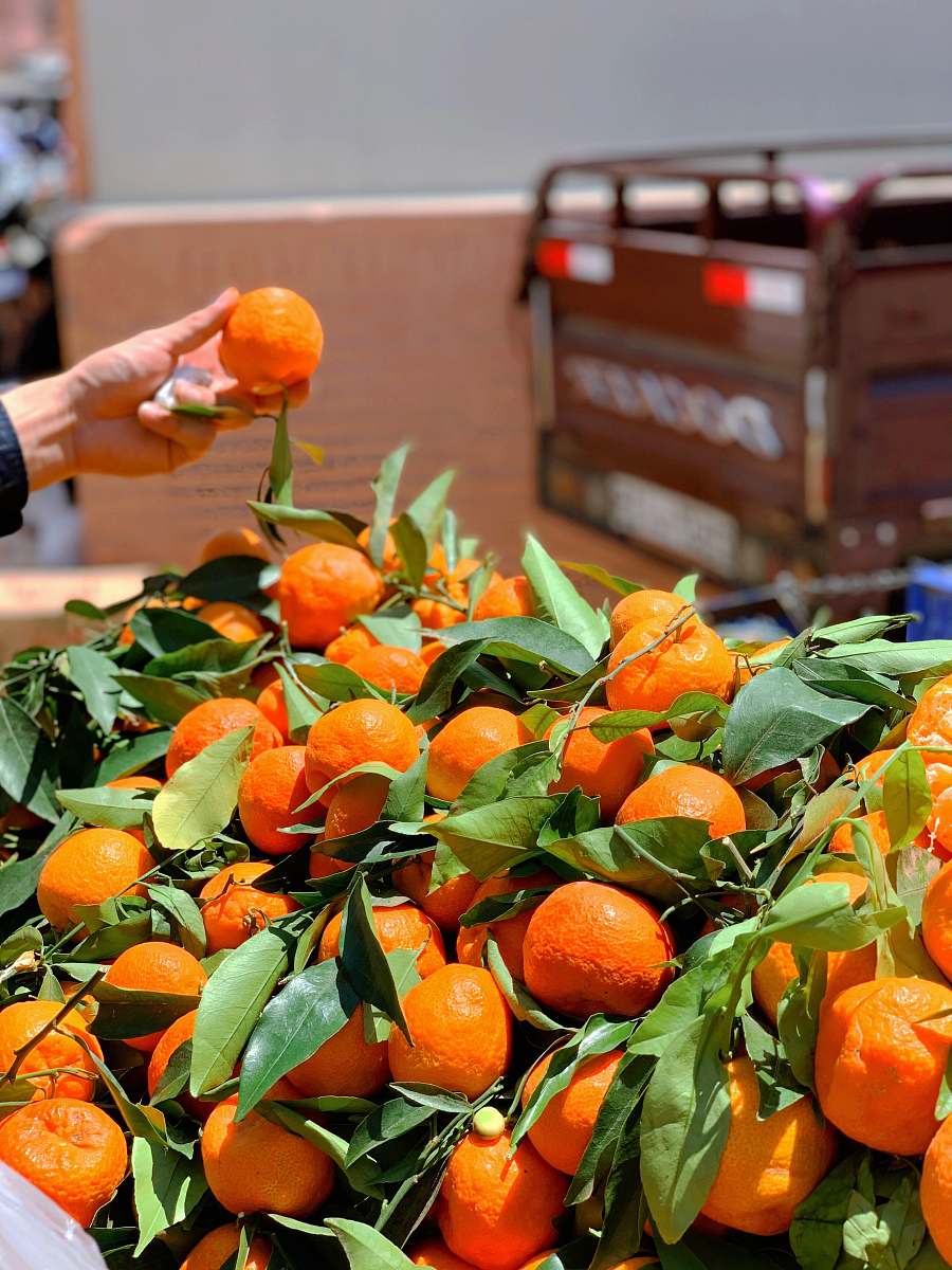 fruit orange fruits plant