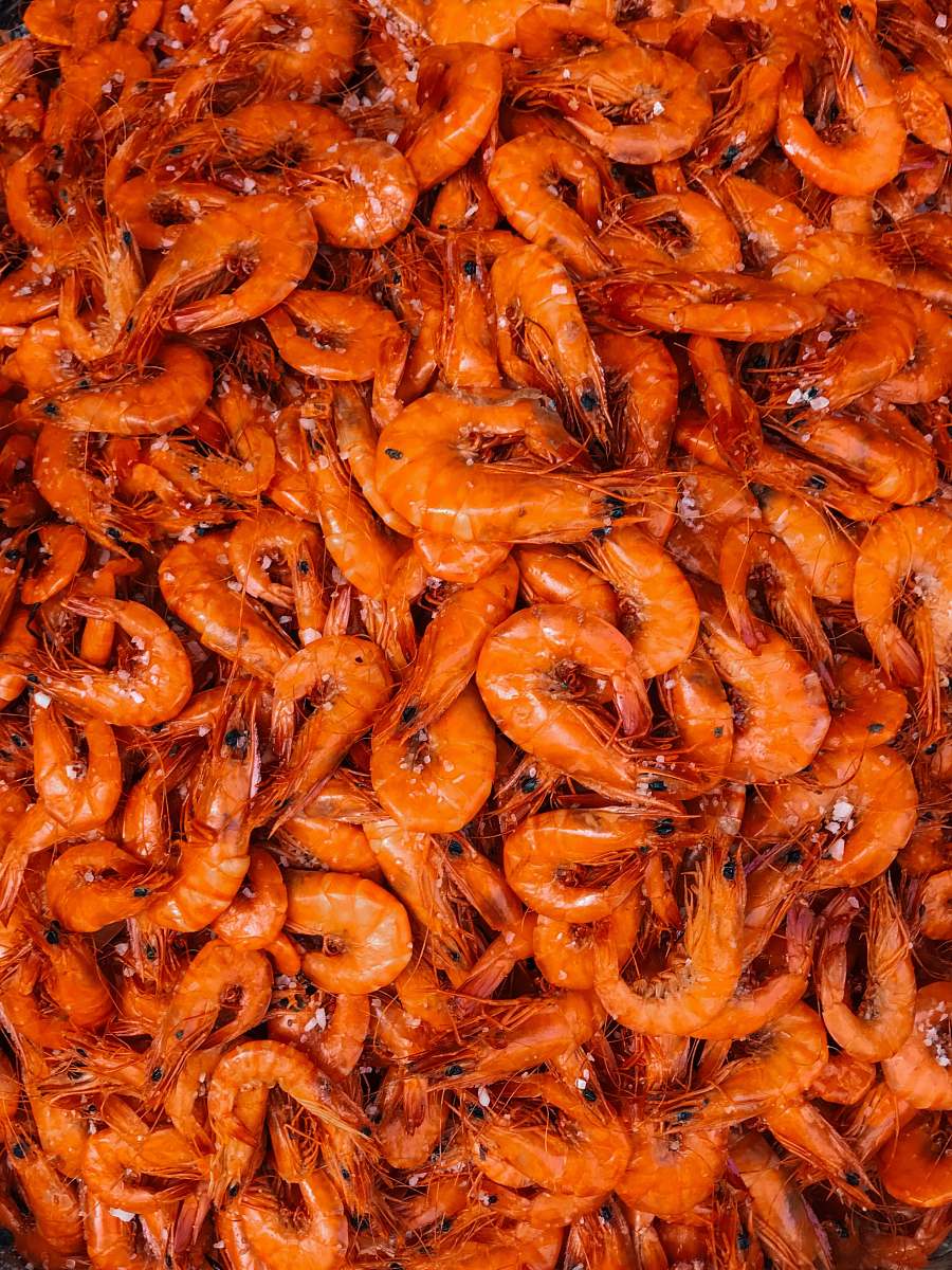 animal orange shrimp lot seafood