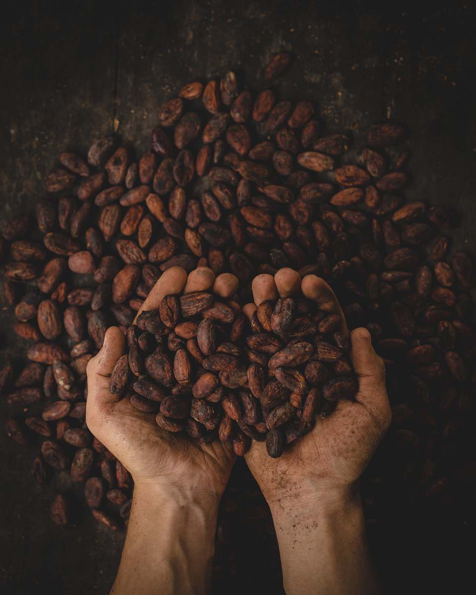 coffee person holding dried beans colombia