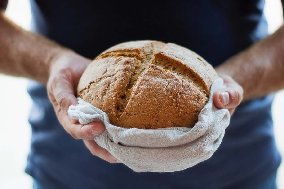 bread person holding pastry baked