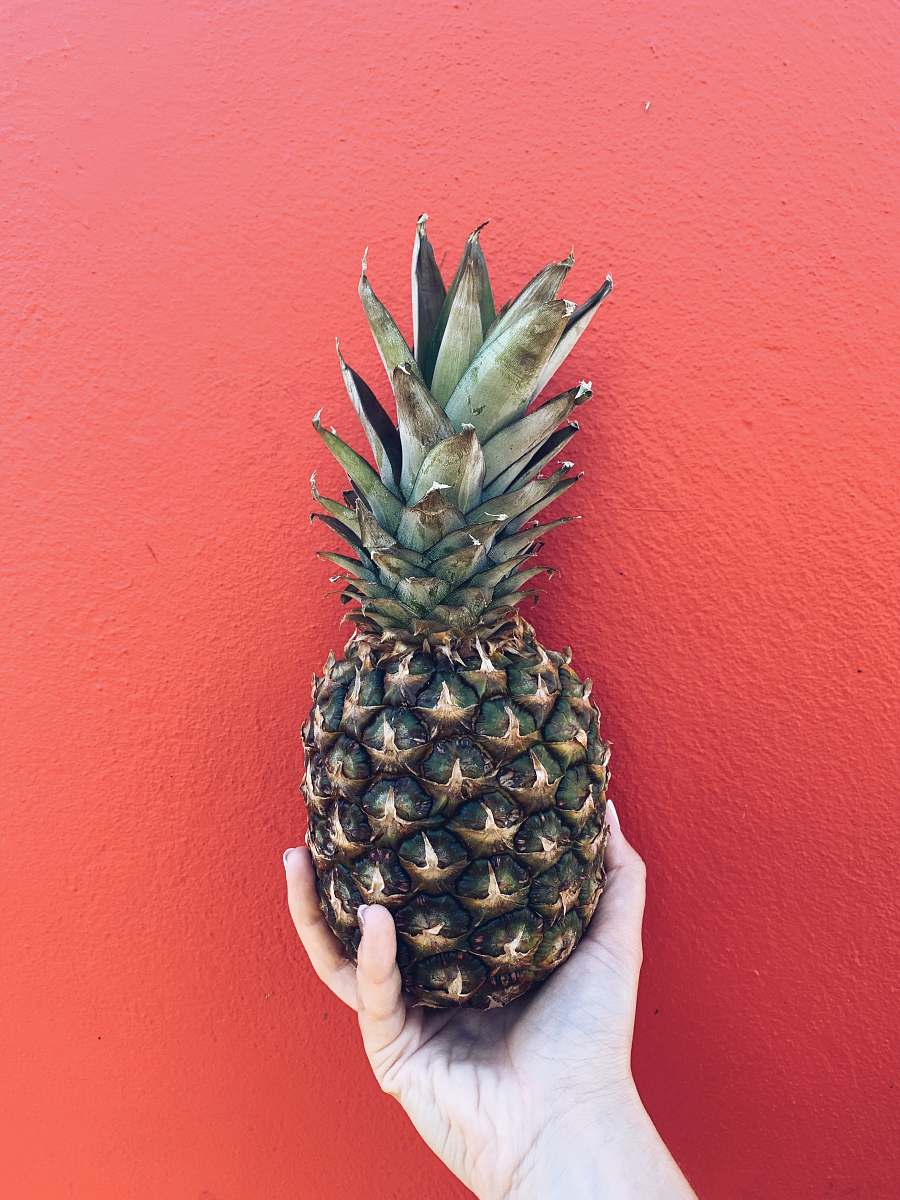fruit person holding pineapple fruit near red wall pineapple