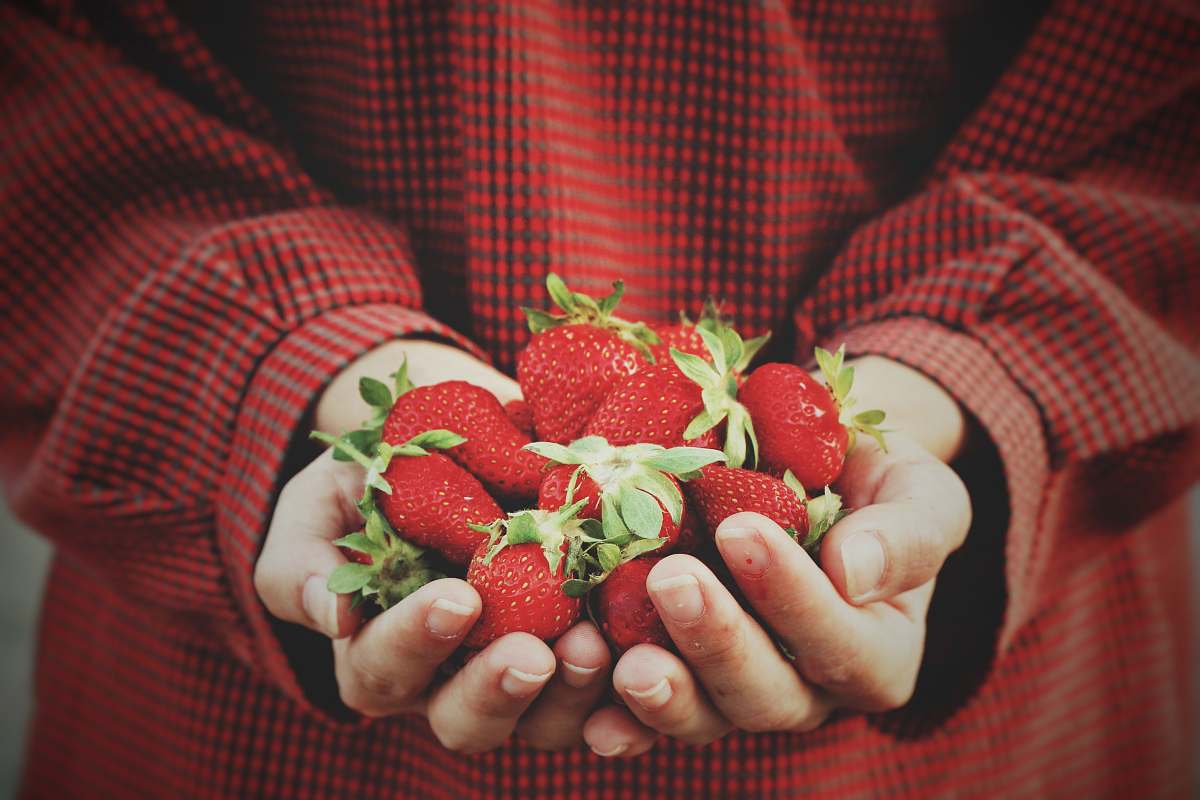 fruit person holding strawberries strawberry