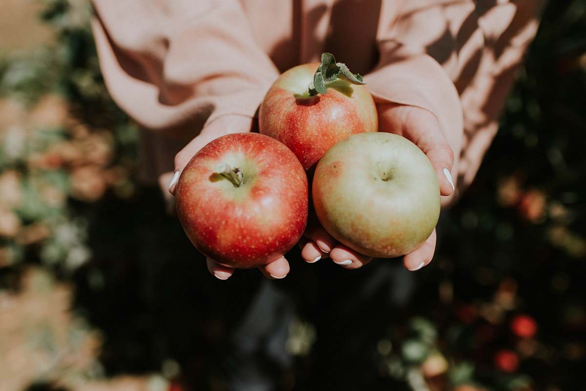 fruit person holding three red apple fruits apple