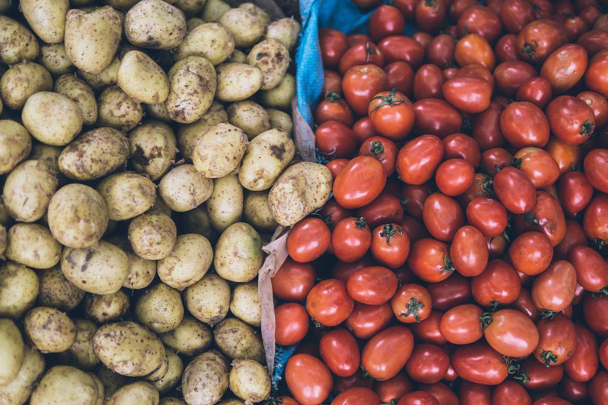 produce photography of orange tomatoes and brown potatoes tomato