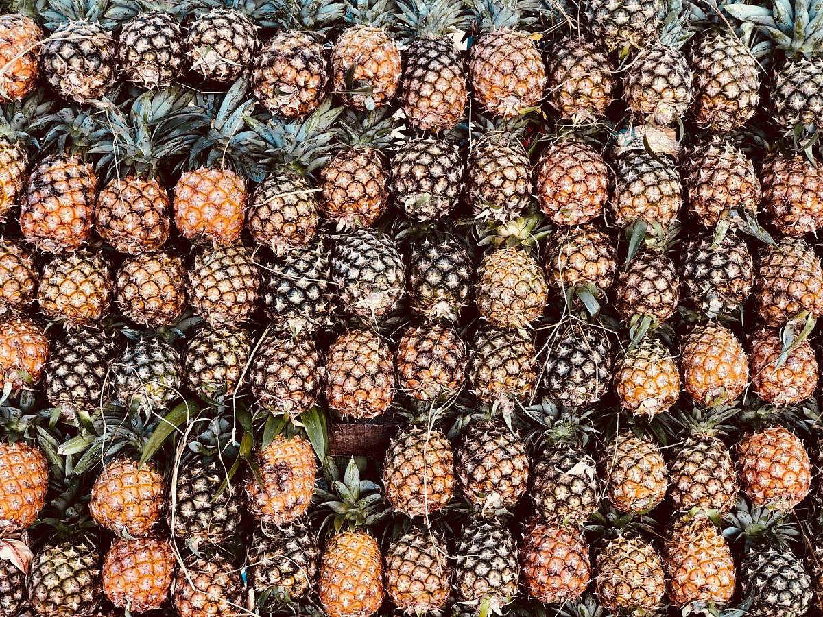 pineapple pile of pineapple fruits fruit