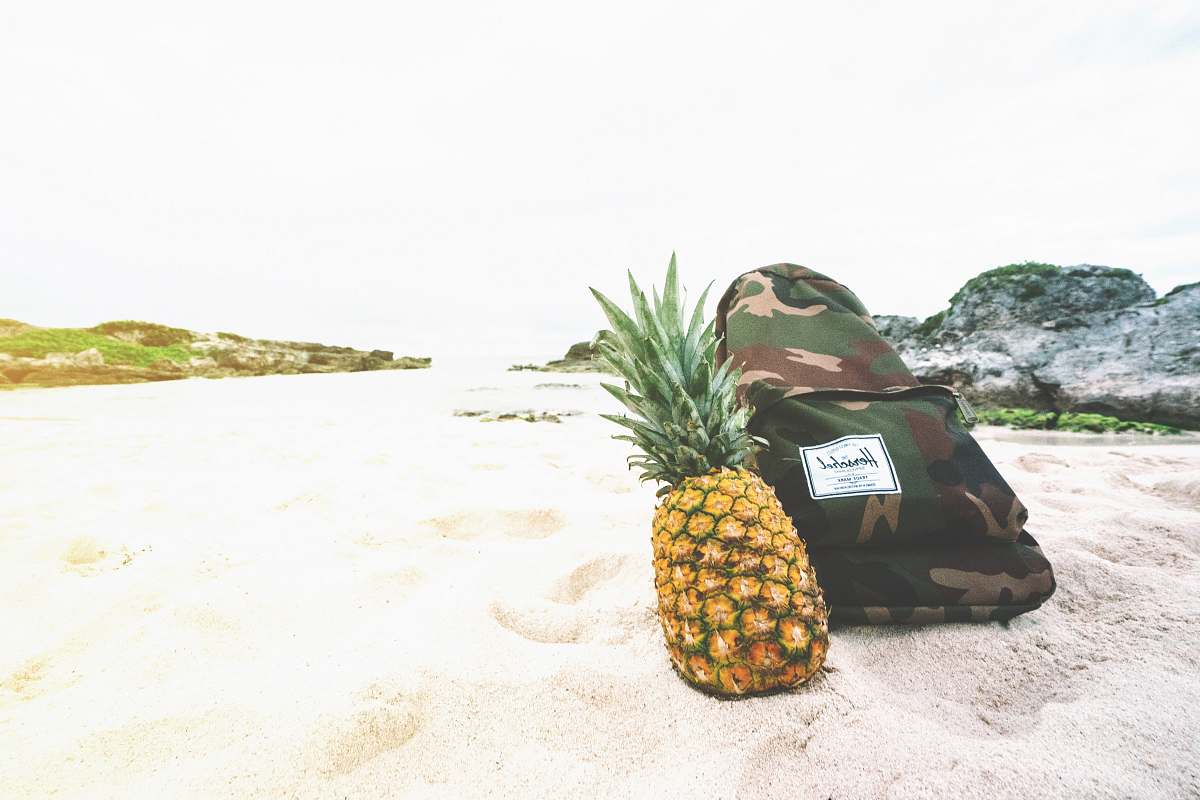 fruit pineapple beside backpack pineapple