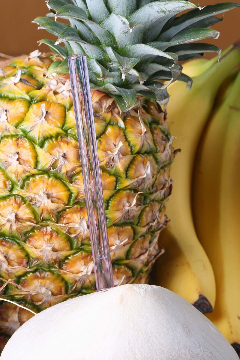 fruit pineapple beside banana plant