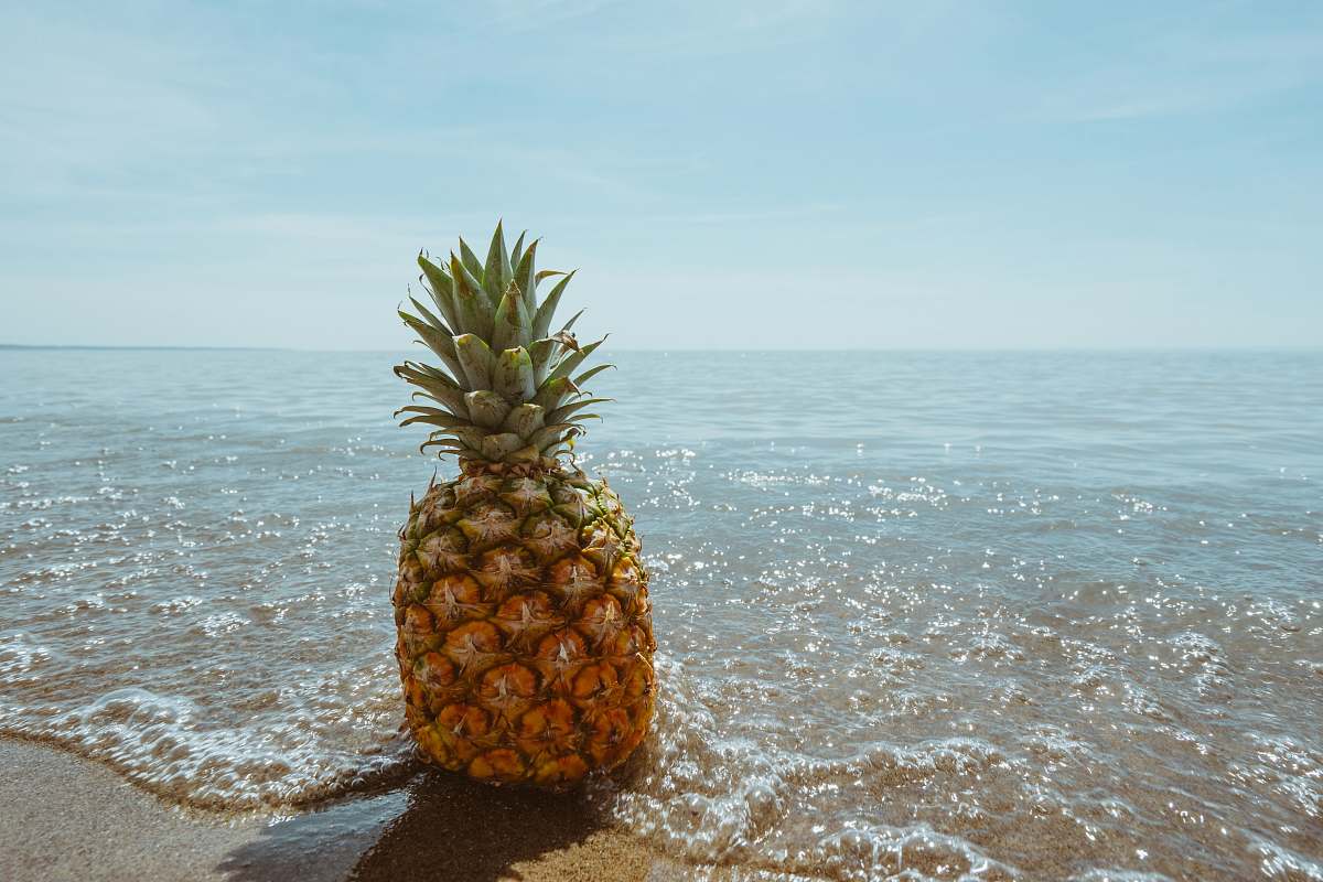 fruit pineapple fruit on seashore pineapple