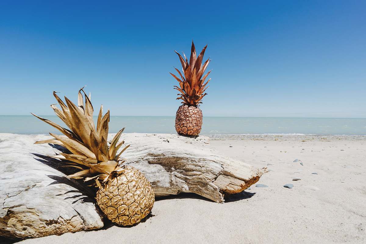 fruit pineapple fruit on shore pineapple