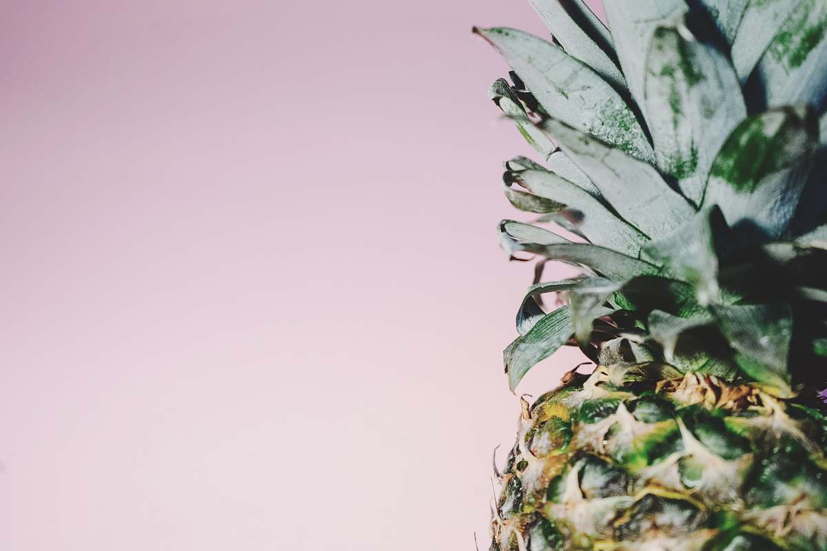 fruit pineapple photo pineapple