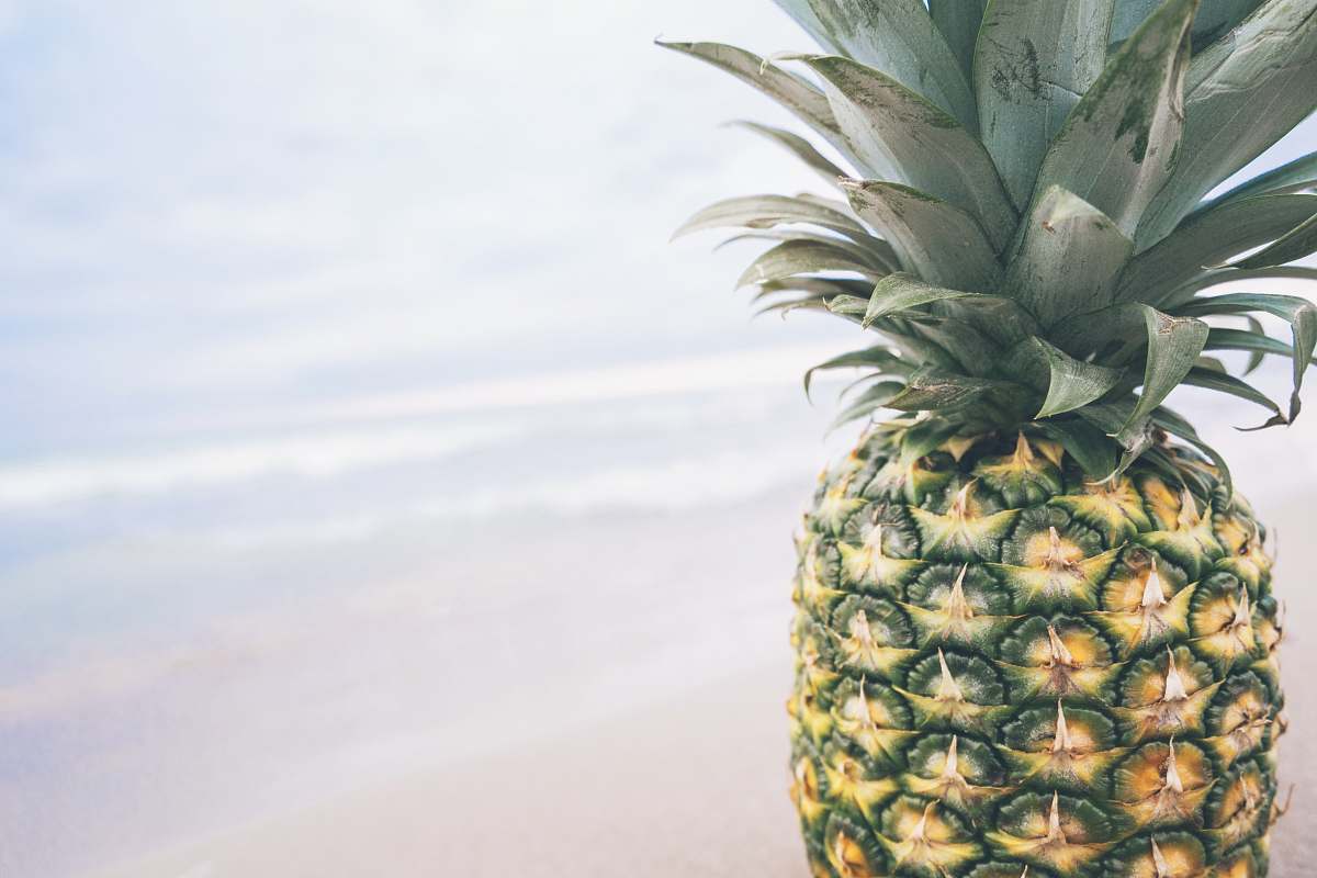 pineapple pineapple with body of water background fruit