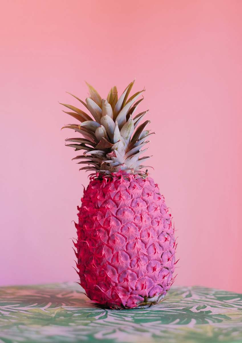 Fruit Pink Pineapple Pineapple Image Free Photo