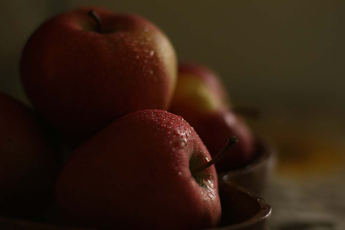 plant red apple close-up photography apple