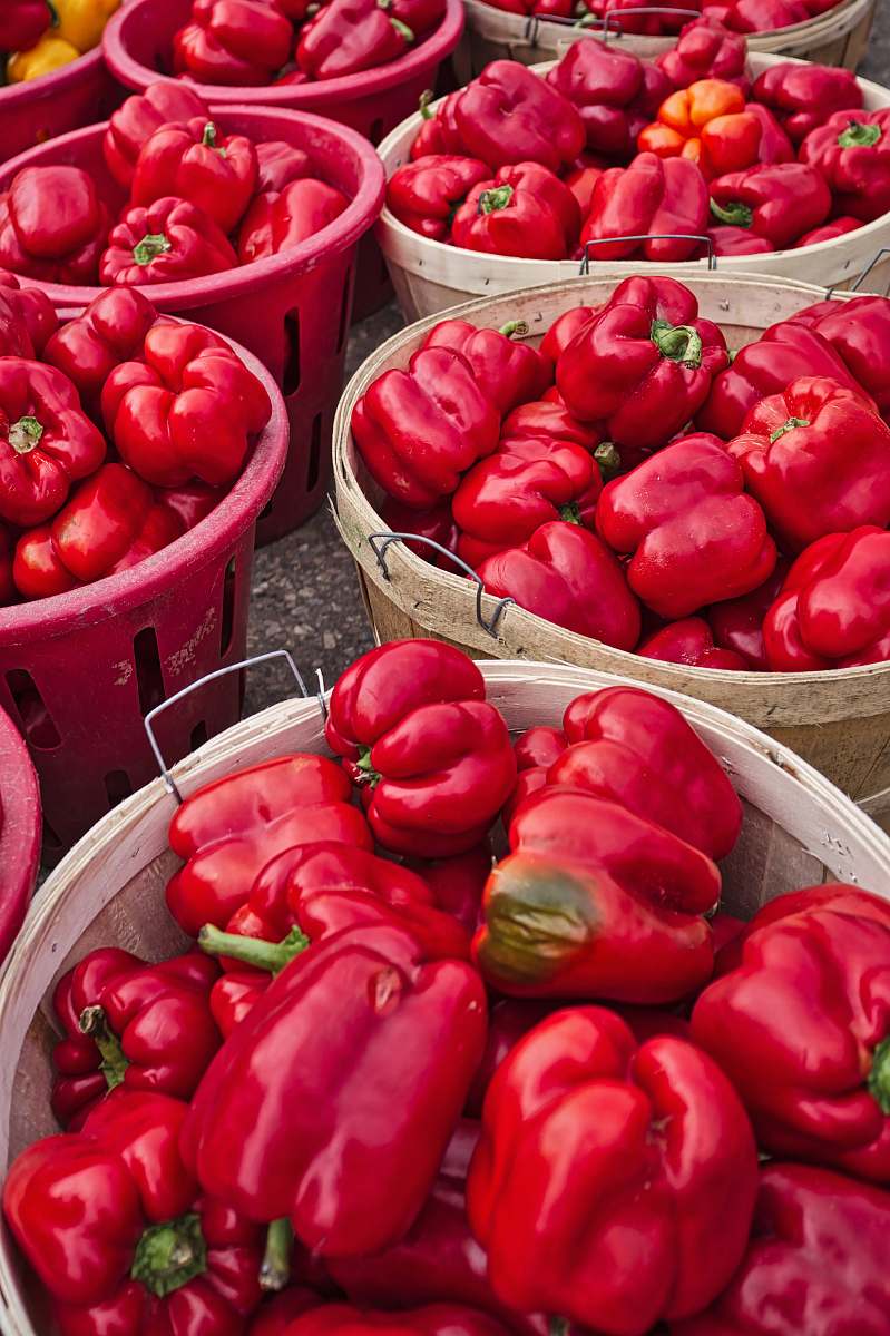 vegetable red bell pepper lot in baskets pepper