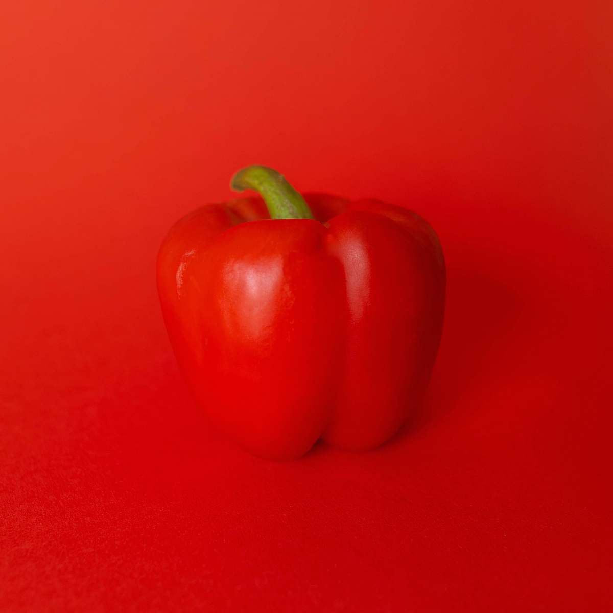 vegetable red bell pepper on red surface pepper