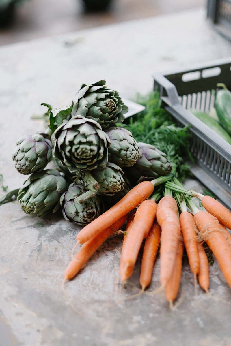 vegetable red carrots lot carrot