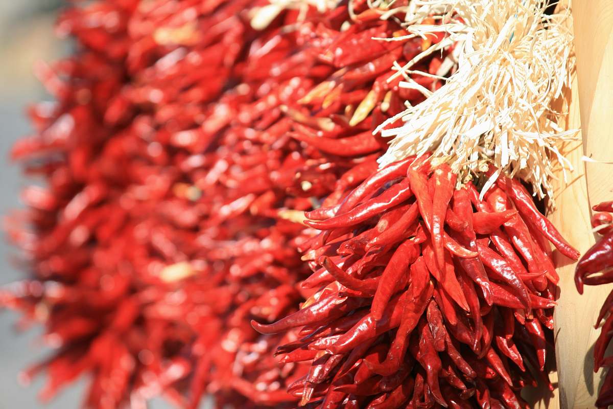 pepper red chilli lot flora
