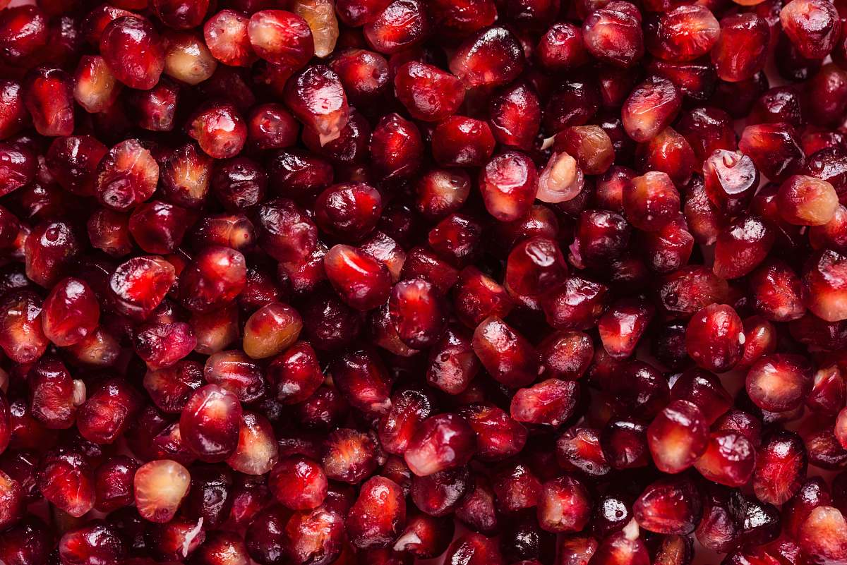 fruit red seeds plant