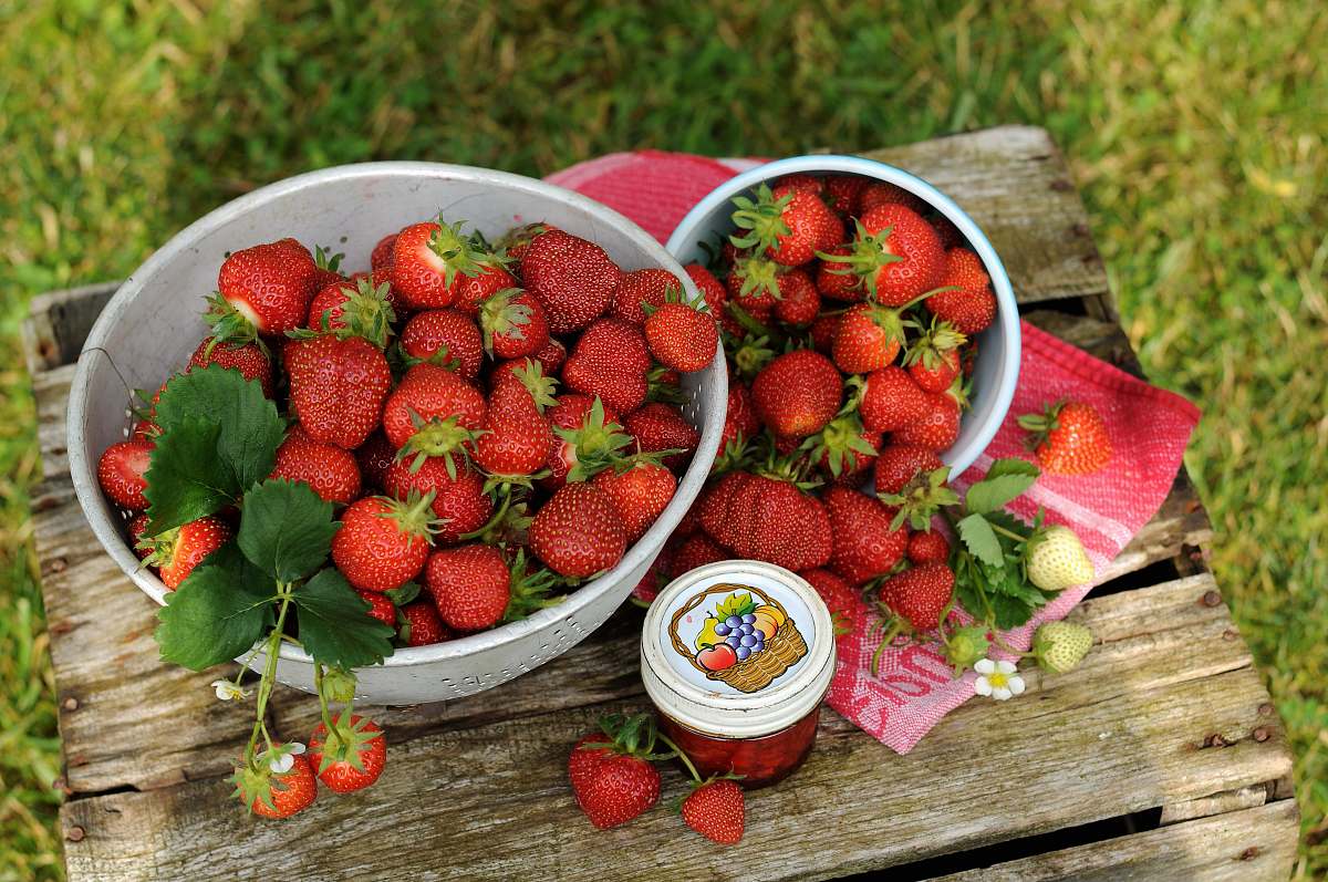 fruit red strawberries in bowl plant