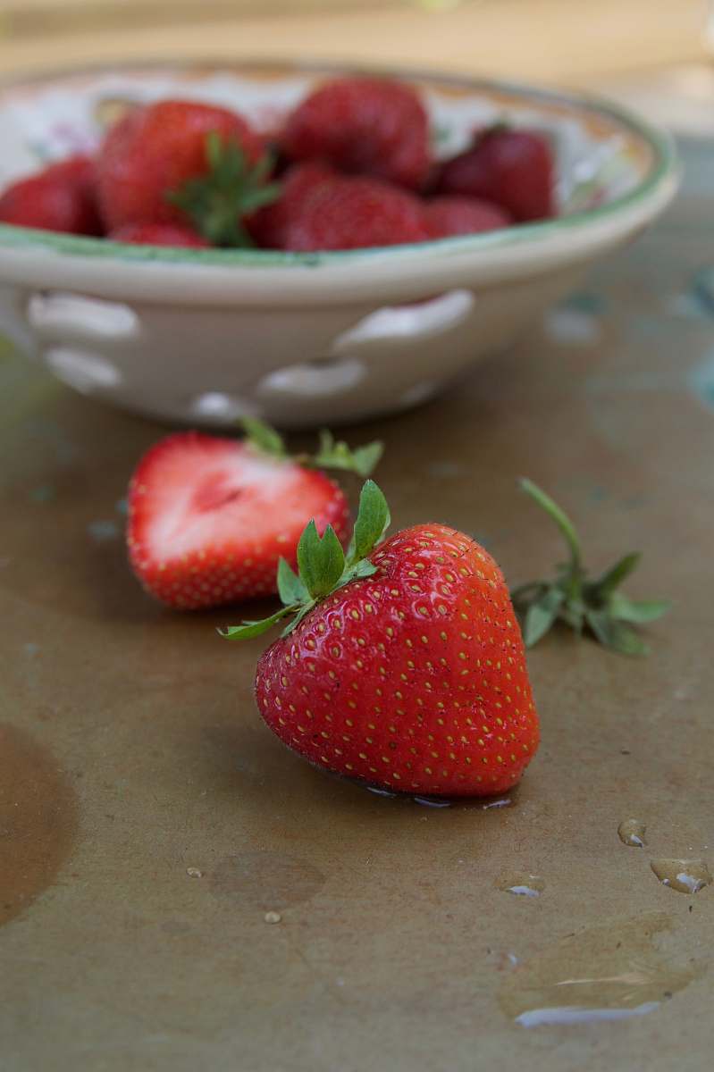 plant red strawberries fruit