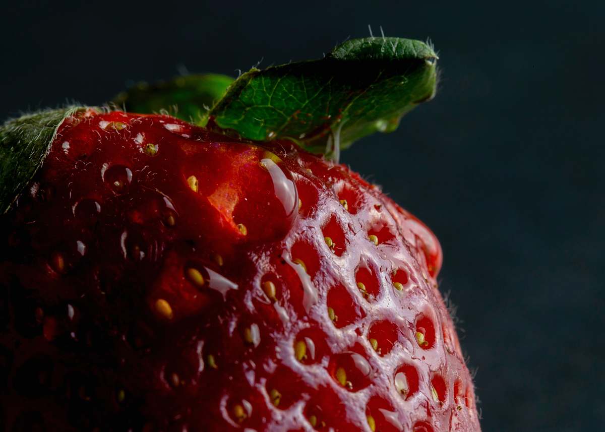 plant red strawberry strawberry