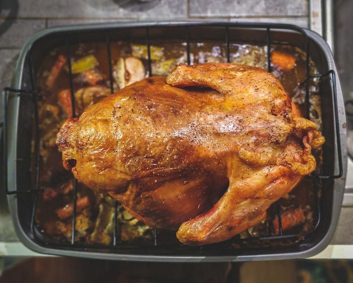 bbq roasted chicken on top of grill brown