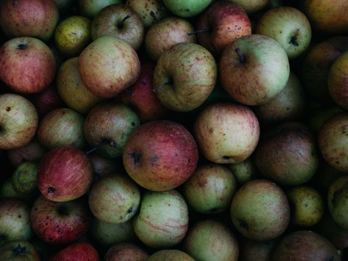 fruit round green fruits produce