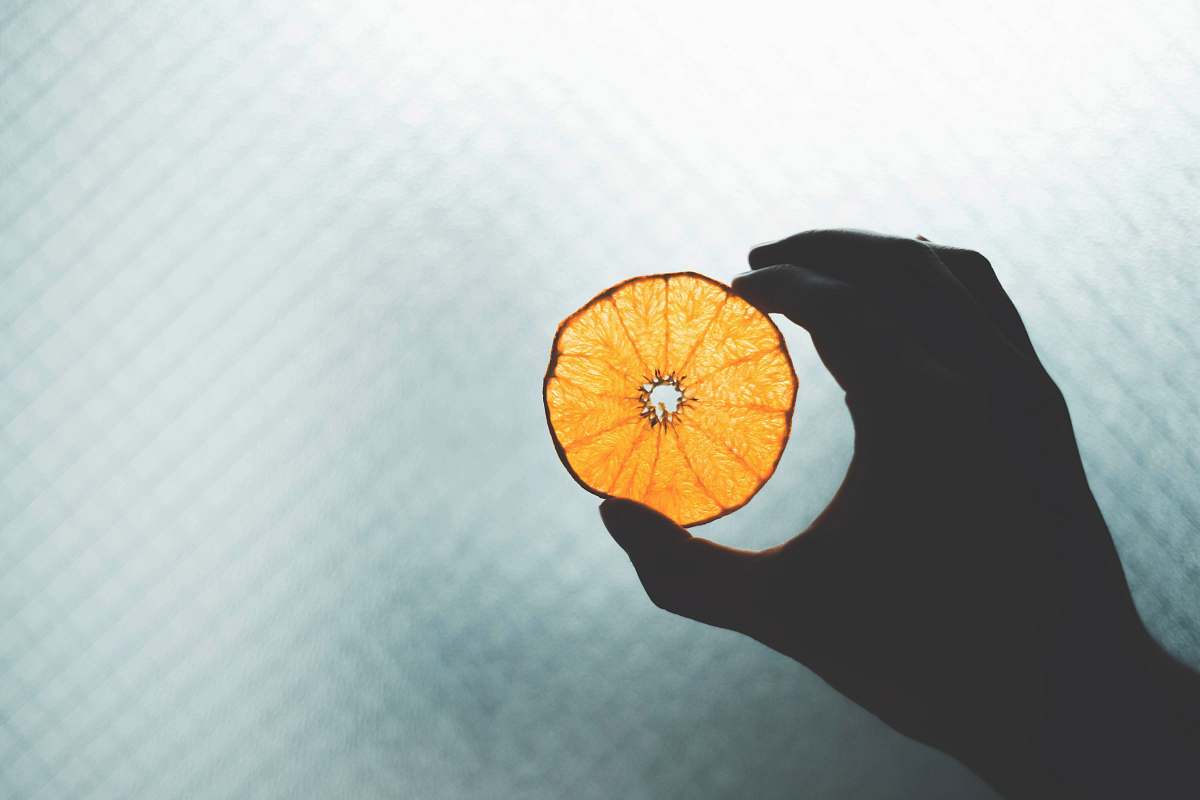 plant round orange illustration citrus fruit