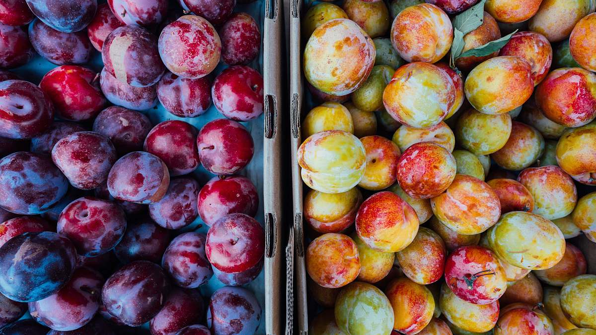 fruit round red, yellow, and green fruits plum