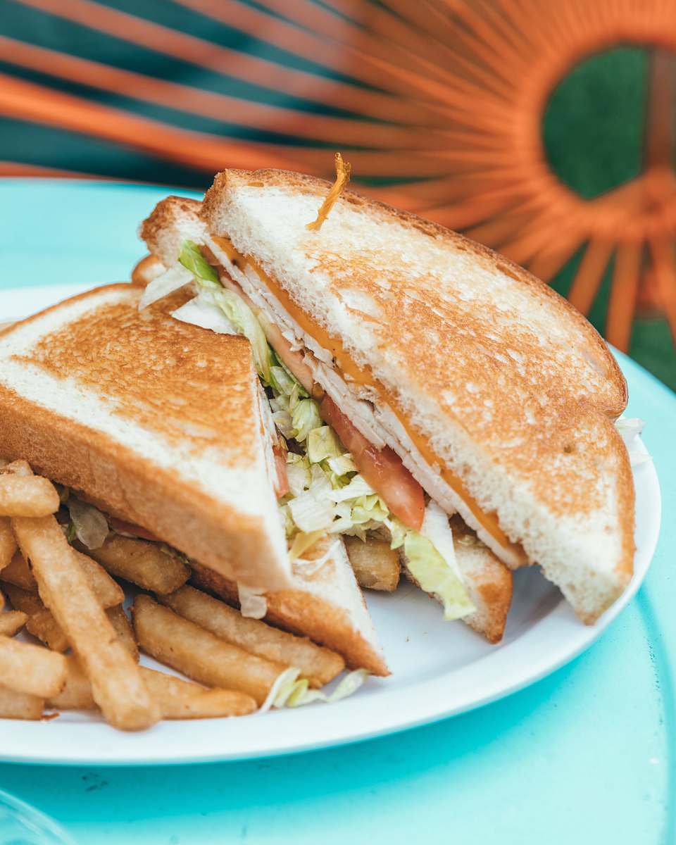 burger sandwich and friers dish sandwich