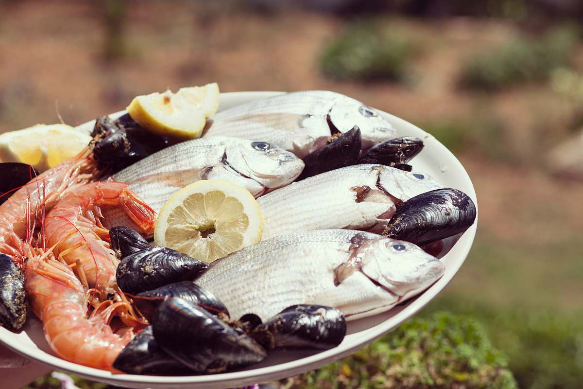 seafood seafoods on round white plate during daytime fish