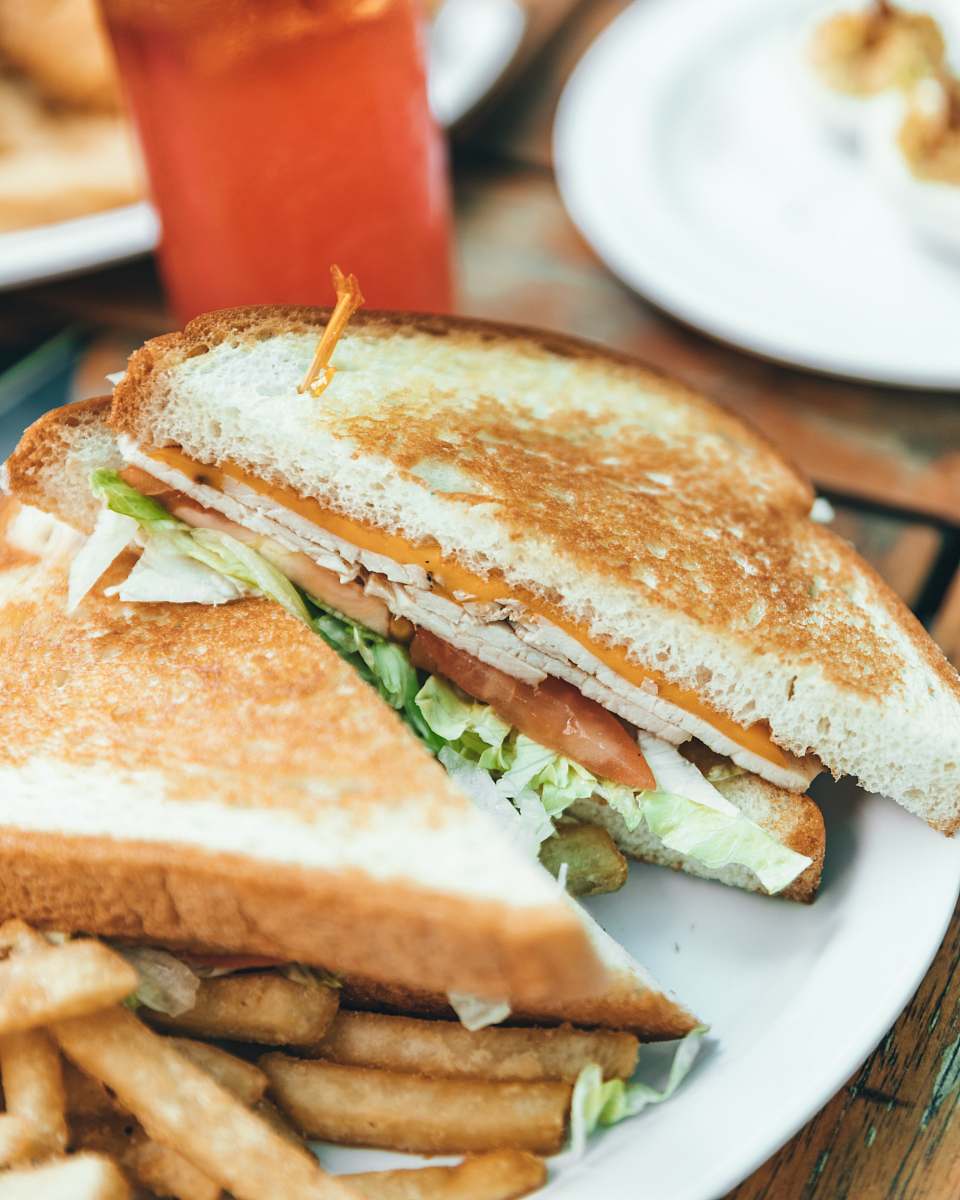 sandwich selective focus photo of toasted bread with coleslaw and fries on white plate burger