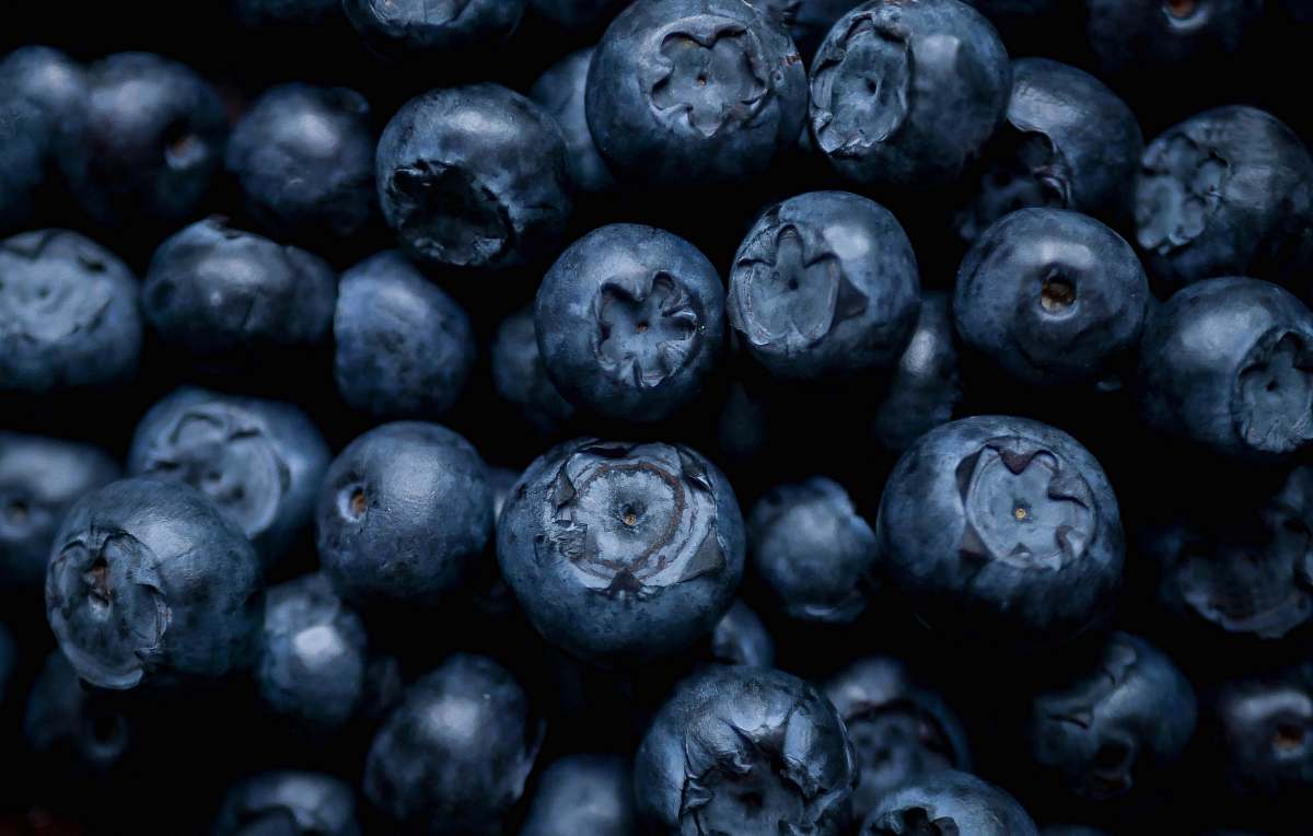 fruit selective focus photography of blue berries blueberry